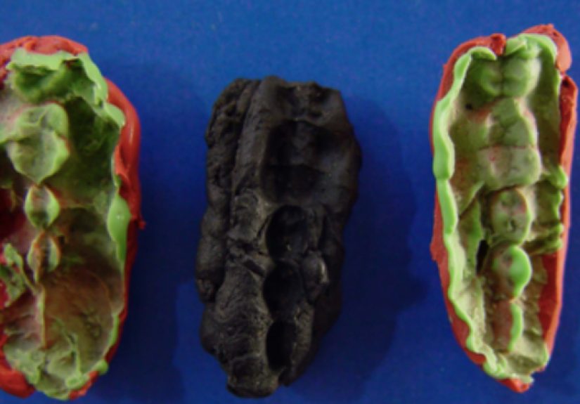 10,000 Year Old Gum Reveals Hunter-Gatherer DNA