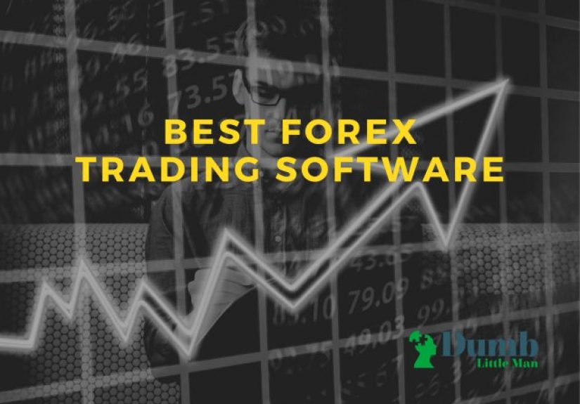5 Best Forex Trading Software in 2025: A Guide to Stop Losing Money • Dumb Little Man