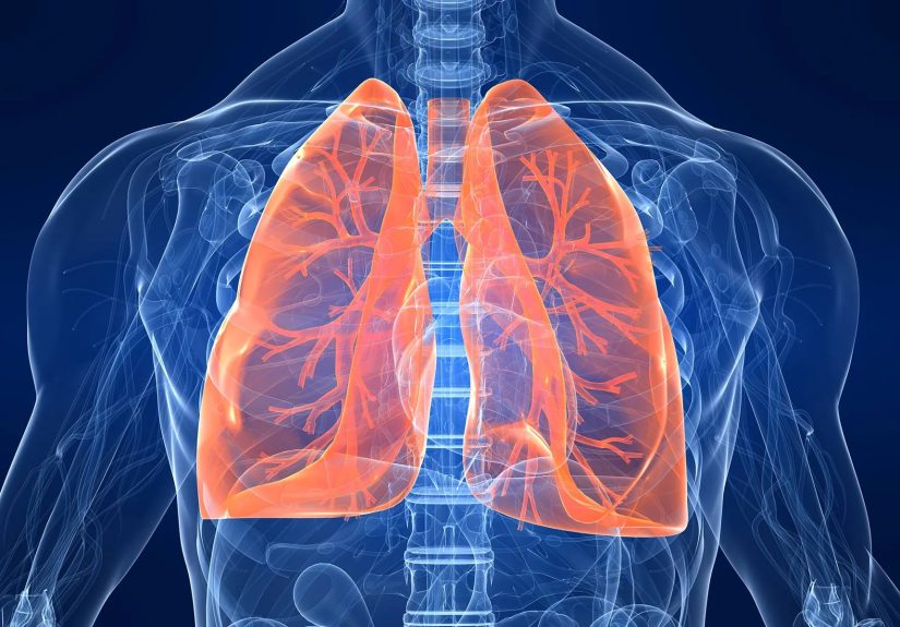 Everything You Should Know About NSCLC