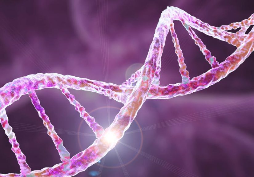 Finally, the Entire Human Genome Is Here (For Real This Time)