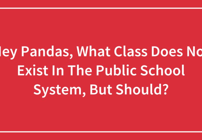 Hey Pandas, What Class Does Not Exist In The Public School System, But Should? (Closed)