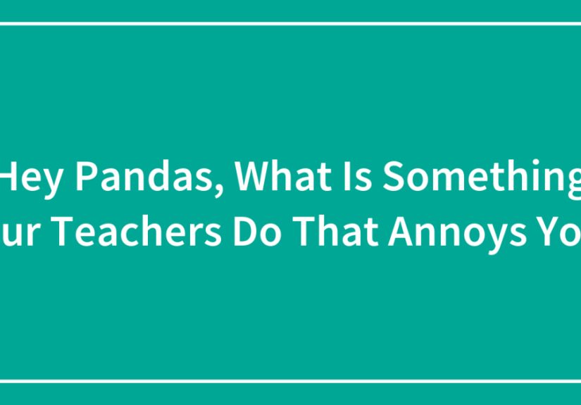Hey Pandas, What Is Something Your Teachers Do That Annoys You? (Closed)