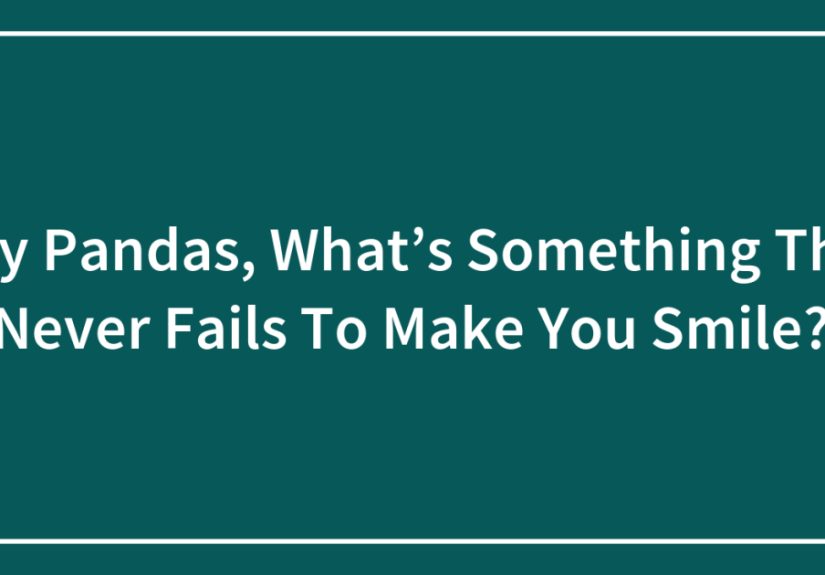Hey Pandas, What’s Something That Never Fails To Make You Smile? (Ended)