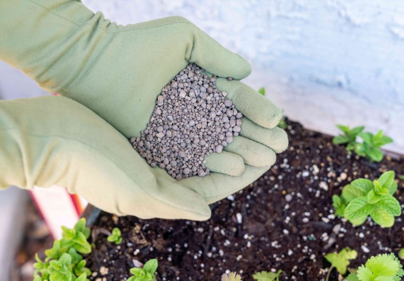 How to Add Calcium to Soil: 9 Methods