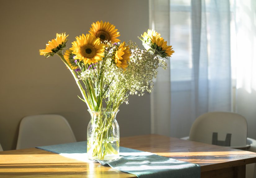 11 Ways to Make Cut Sunflowers Last Longer in a Vase
