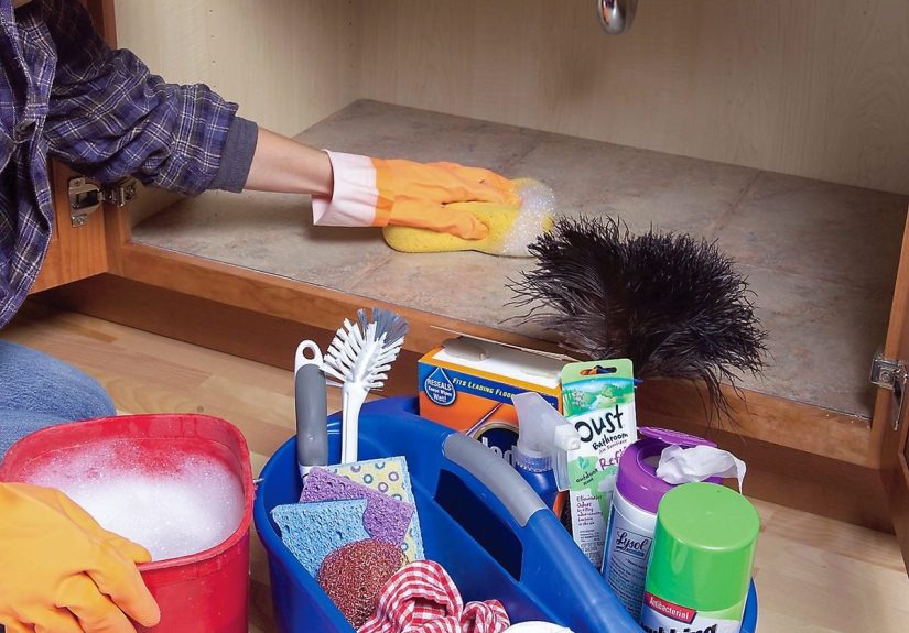 12 Strategies to Prevent Pests From Getting Into Your House