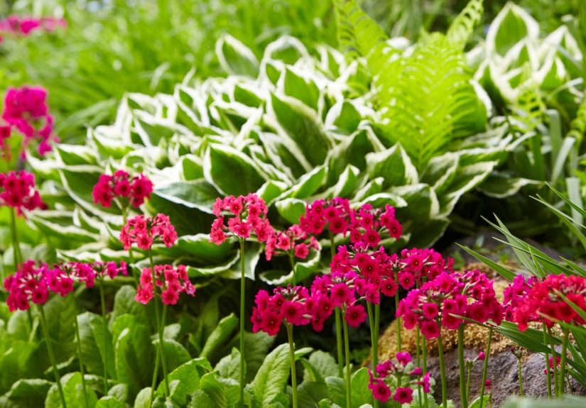 12 Sustainable Gardening Tips to Make Your Yard More Eco-Friendly