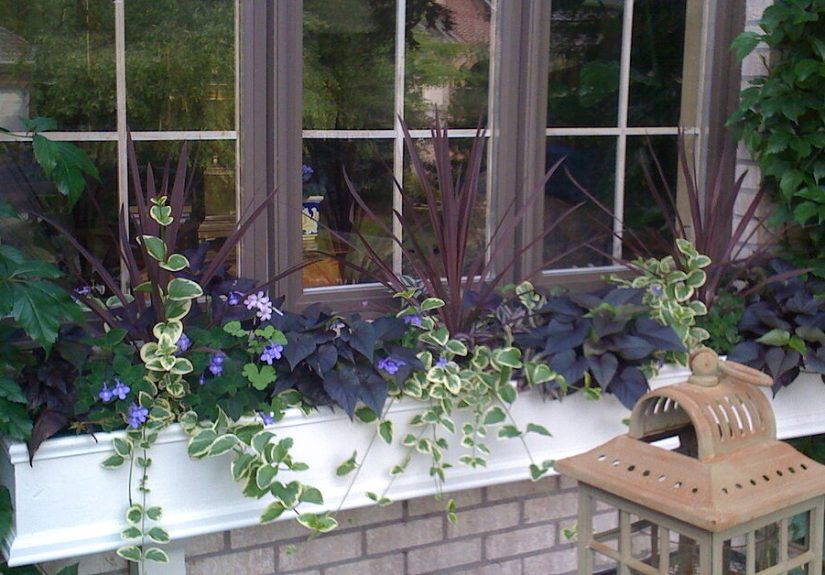 16 Fabulous Flower Boxes