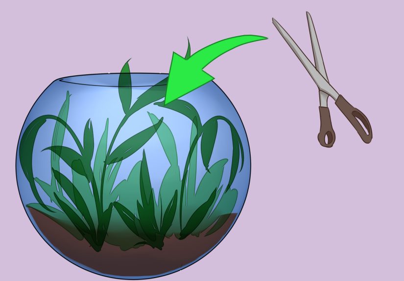 4 Ways to Build a Self Sustaining Ecosystem