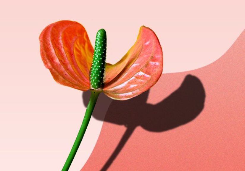 Can You Have Pleasurable Sex After Being Celibate for Several Years?