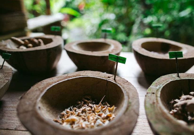 Decolonizing Alternative Medicine: The Bahamian Bush Medicine Legacy