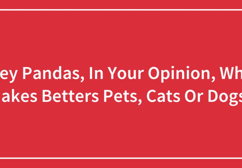 Hey Pandas, In Your Opinion, Who Makes Betters Pets, Cats Or Dogs?