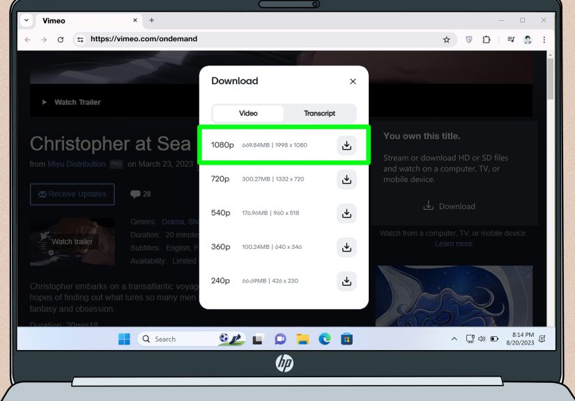 How to Download CC Subtitles from Embedded Vimeo Videos