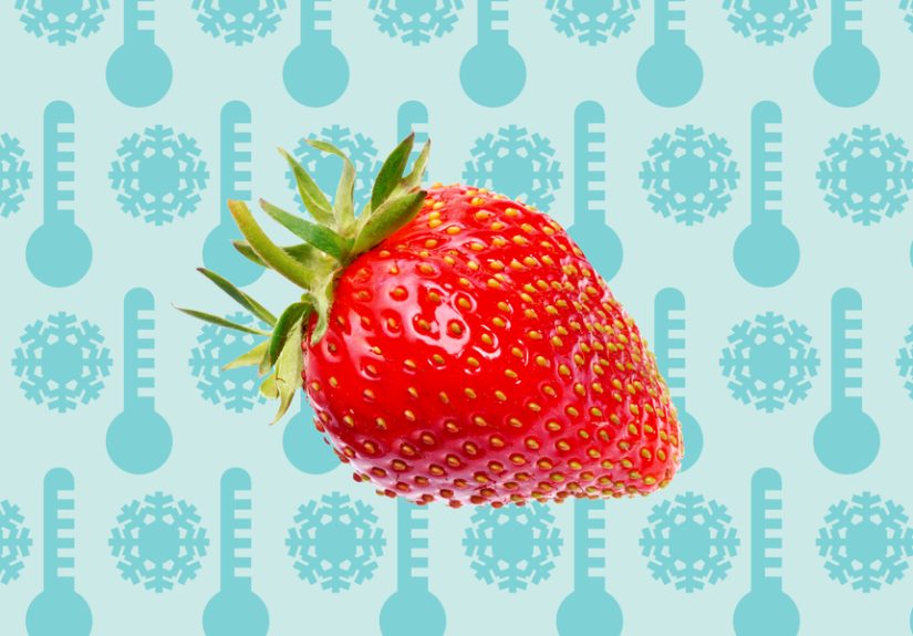 How to Freeze Strawberries: A Step-by-Step Guide
