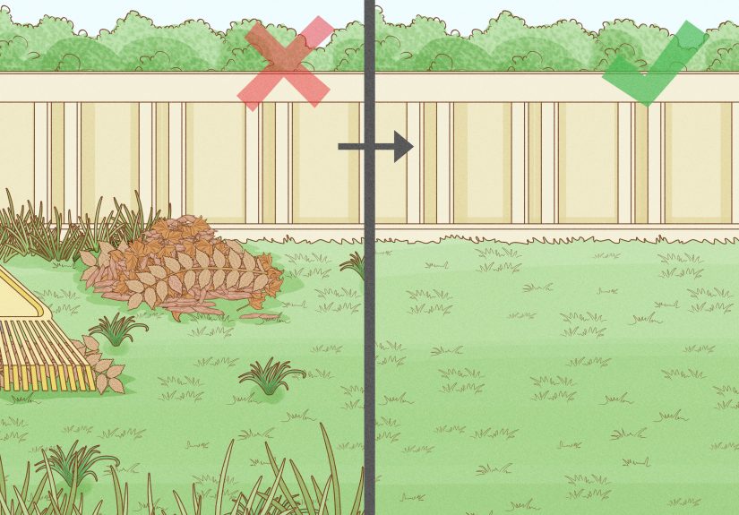 How to Keep Spiders and Scorpions Out of Your House Using Natural Products