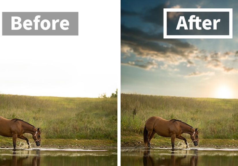 I Want To Show You Some Photography Lessons That I’ve Learnt In These 19 Photos
