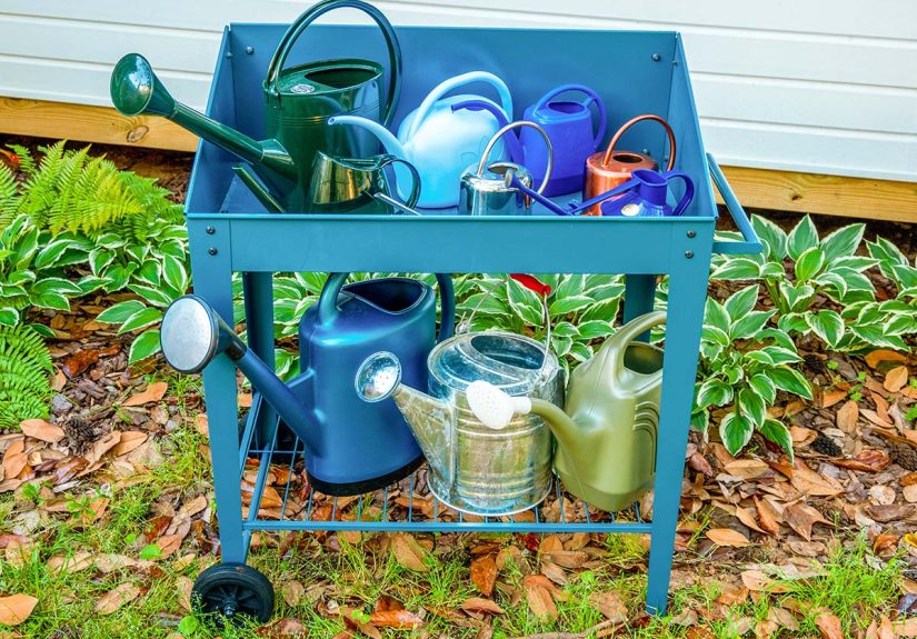 The Best Watering Cans, Tested and Reviewed