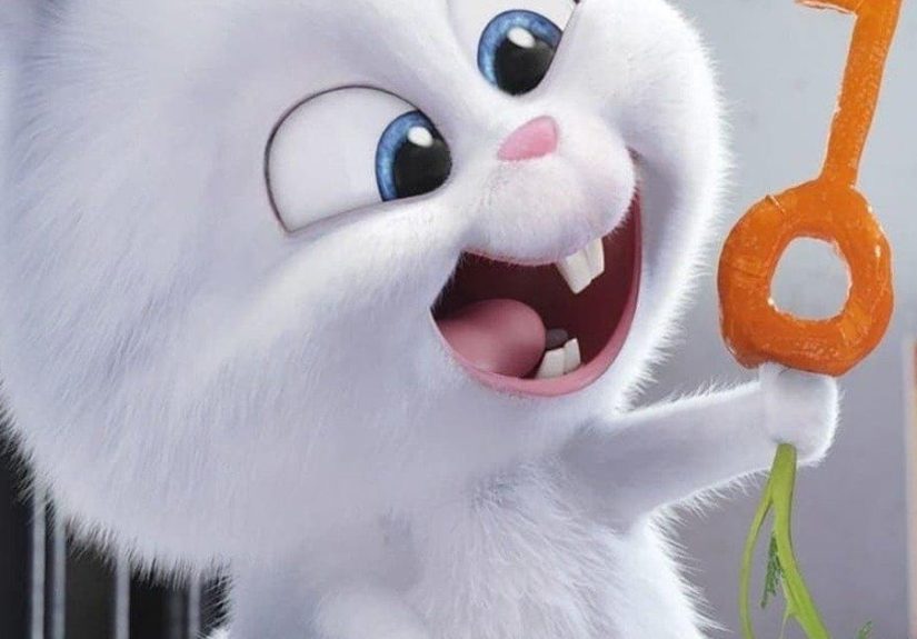 The Secret Life of Pets Rankings And Opinions