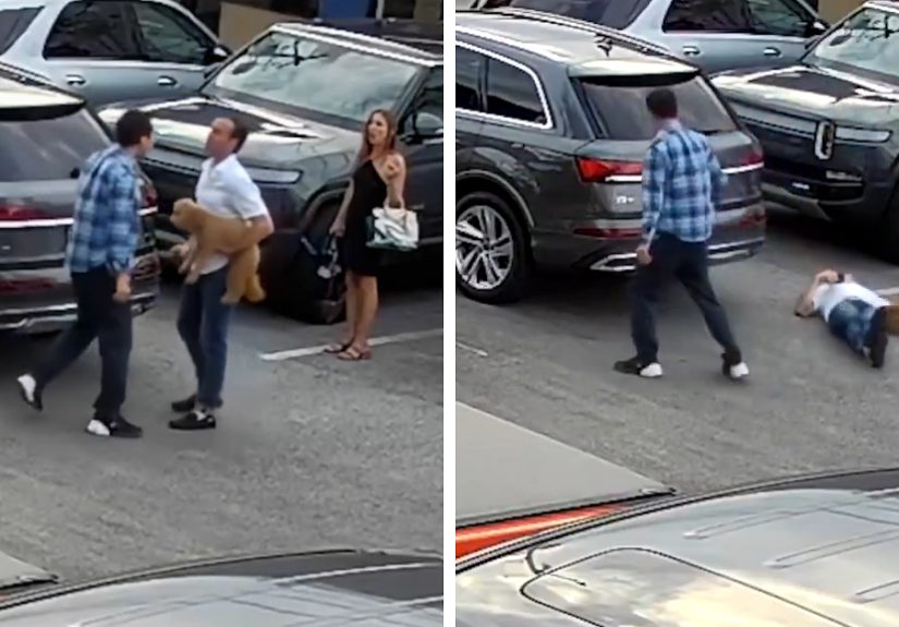 Uber Driver Brutally Knocks Out CEO With Service Dog In Shocking VideoPassenger's Account Got Suspended