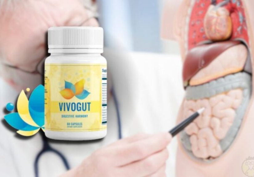 VivoGut MW Reviews 2025 • Can It Really Boost Digestion?