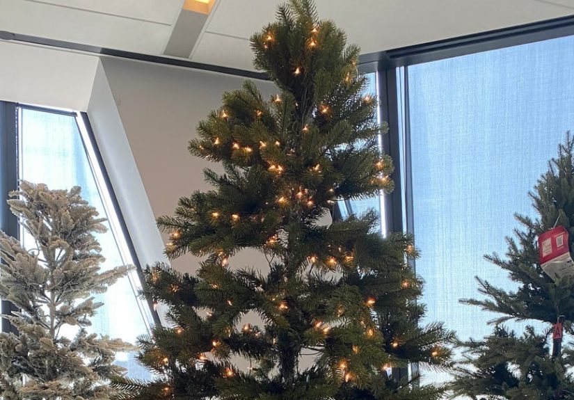 15 Best Artificial Christmas Trees of 2025, Tested and Reviewed