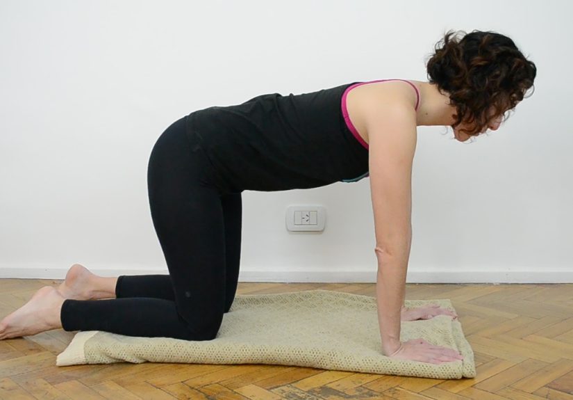 4 Ways to Do the Cat Pose in Yoga