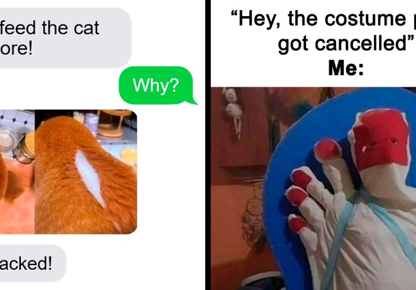 70 Randomly Funny Memes That Make Life Feel Just A Little Lighter