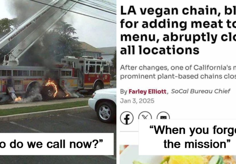 78 Epic “You Had One Job” Fails To Prove You Can Actually Go Lower Than The Bare Minimum