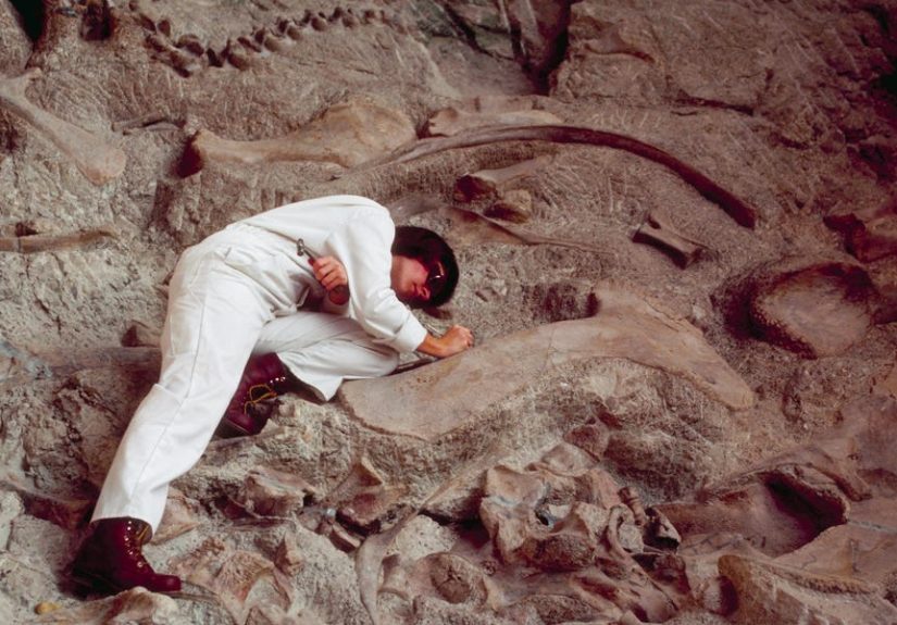Archaeologists Just Dug Up a Tiny 3/4-Inch Fossil. It May Be a Major Missing Link in Our Evolution.