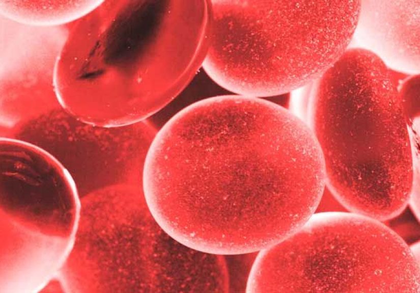 Basophils: Normal Range, Function, and More