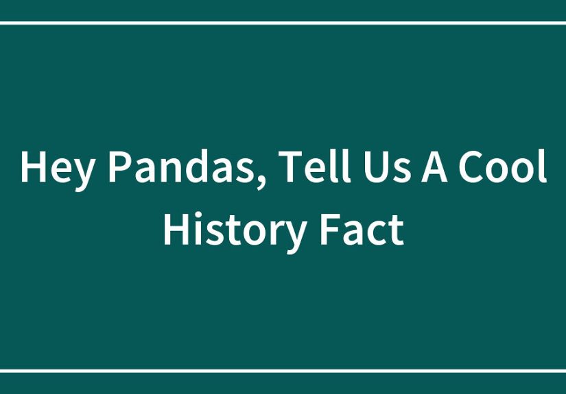 Hey Pandas, Tell Us A Cool History Fact