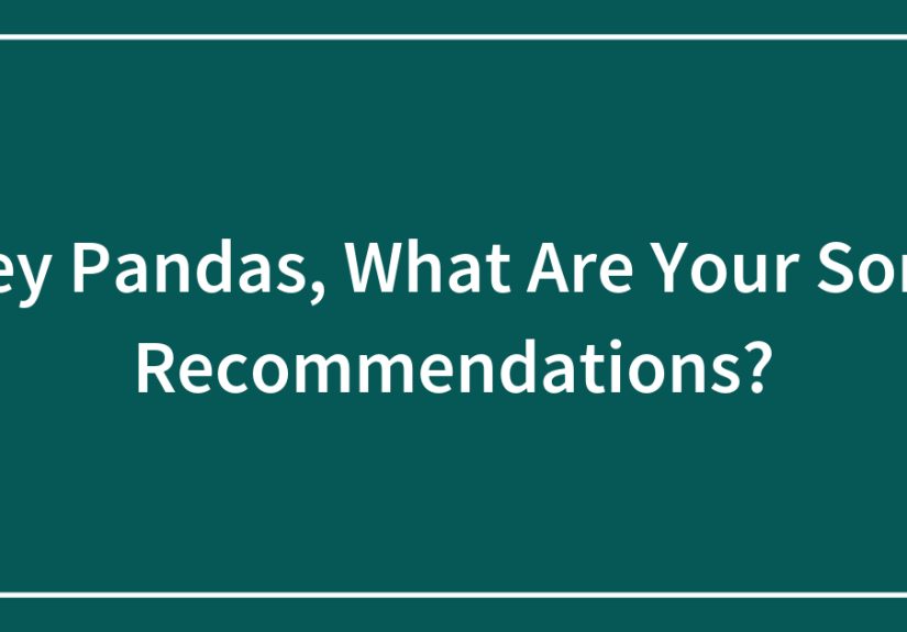 Hey Pandas, What Are Your Song Recommendations?