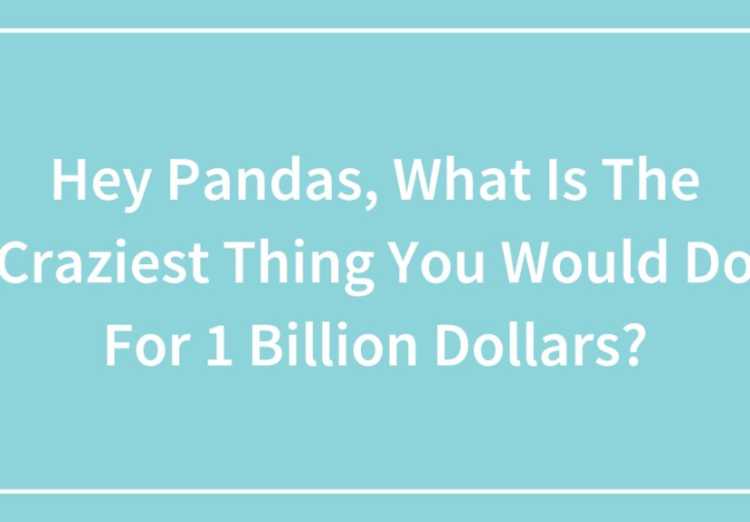 Hey Pandas, What Is The Craziest Thing You Would Do For 1 Billion Dollars?