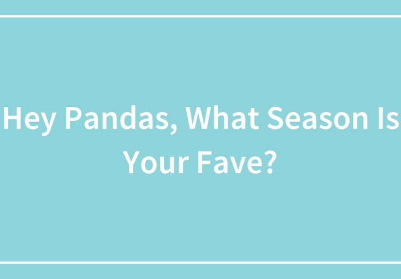 Hey Pandas, What Season Is Your Fave?