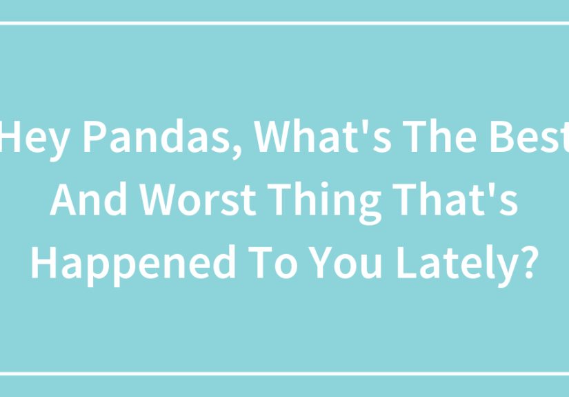 Hey Pandas, What’s The Best And Worst Thing That’s Happened To You Lately?