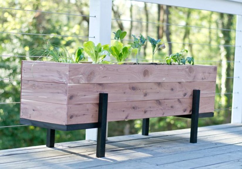 How to Build and Grow a Salad Garden On Your Balcony