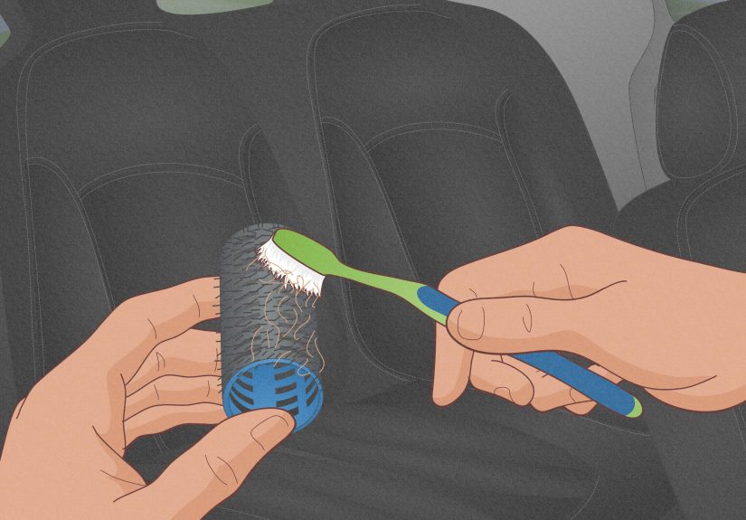 How to Get Dog Hair Out of Your Car: Best Removal Methods