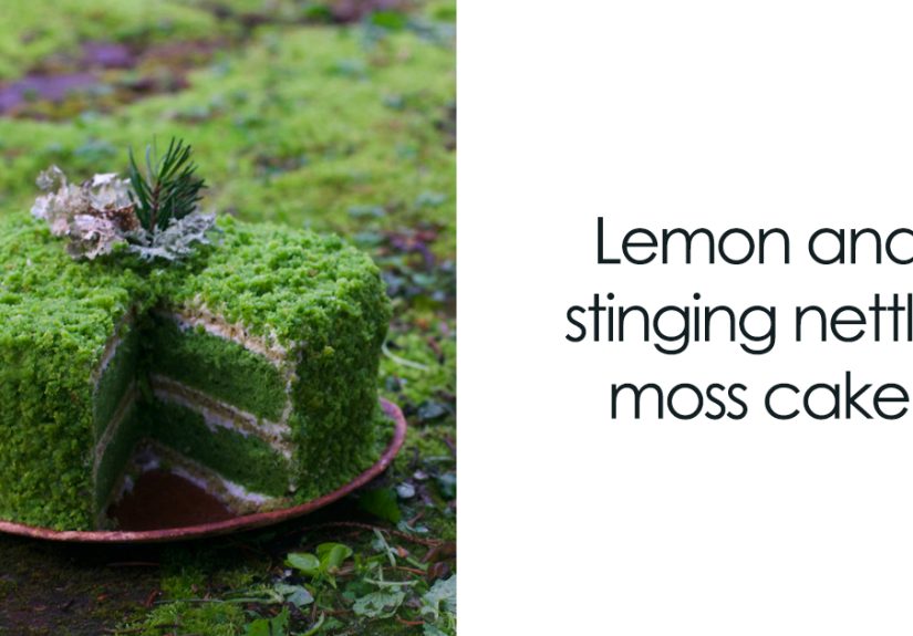I Bake Nature-Inspired Cakes, And Here Are My 15 Best Ones