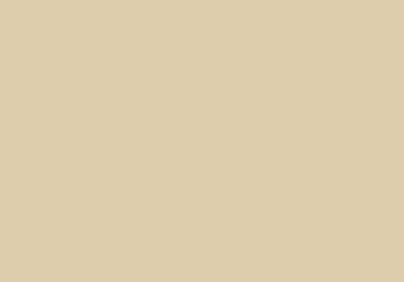 Joa's White No. 226 Paint