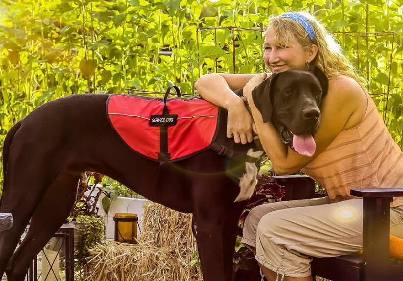 Psychiatric Service Dogs for Bipolar Disorder