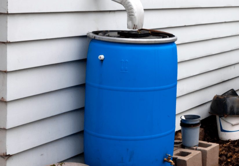 Rain Barrels: How To Collect Rain Water