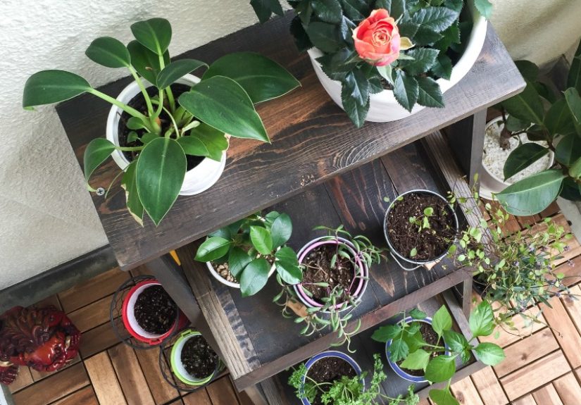 Tutorial: How to Build a Ladder Plant Stand