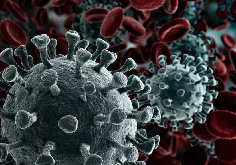 We are all out of ideas for how to convince you to get vaccinated