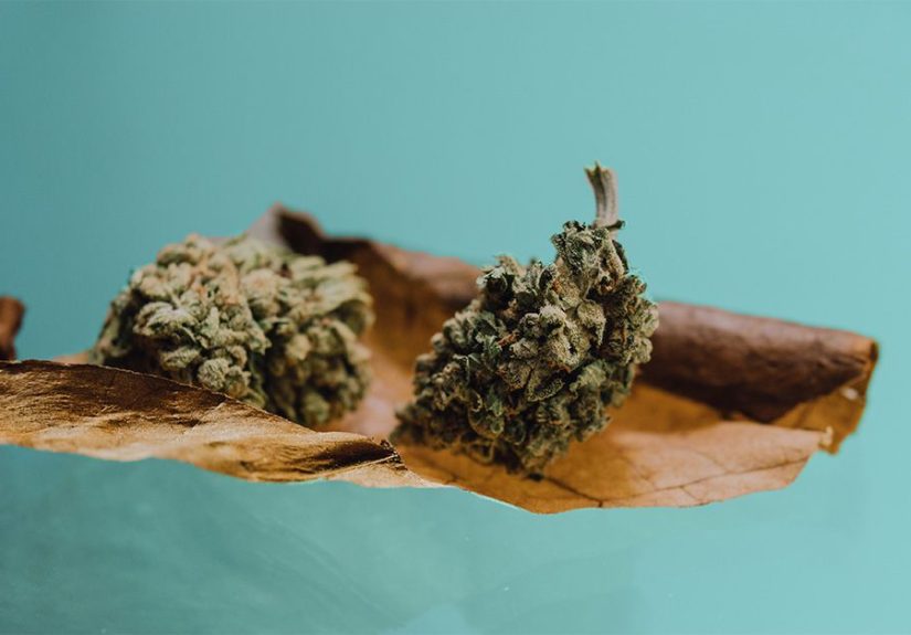 What Is a Blunt? Compared to Spliff, Joint, and Other Methods