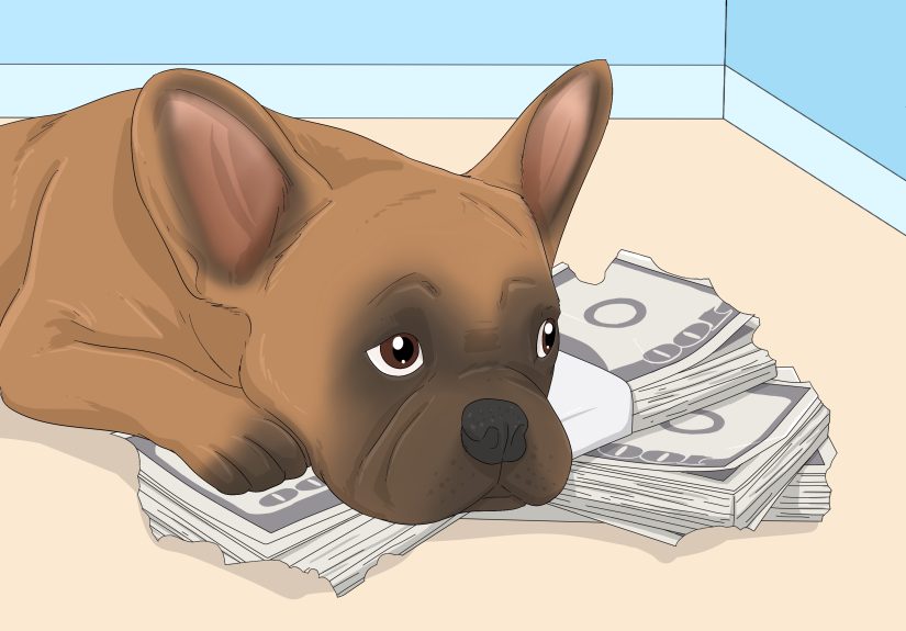 What is the Spiritual Meaning of Dogs in Dreams: 15 Interpretations