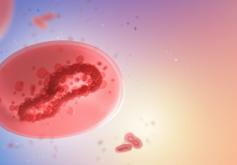 What you need to know about monkeypox