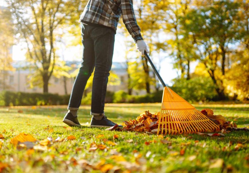 Why Lawn Pros Swear October Is the Secret to a Greener Yard by Spring
