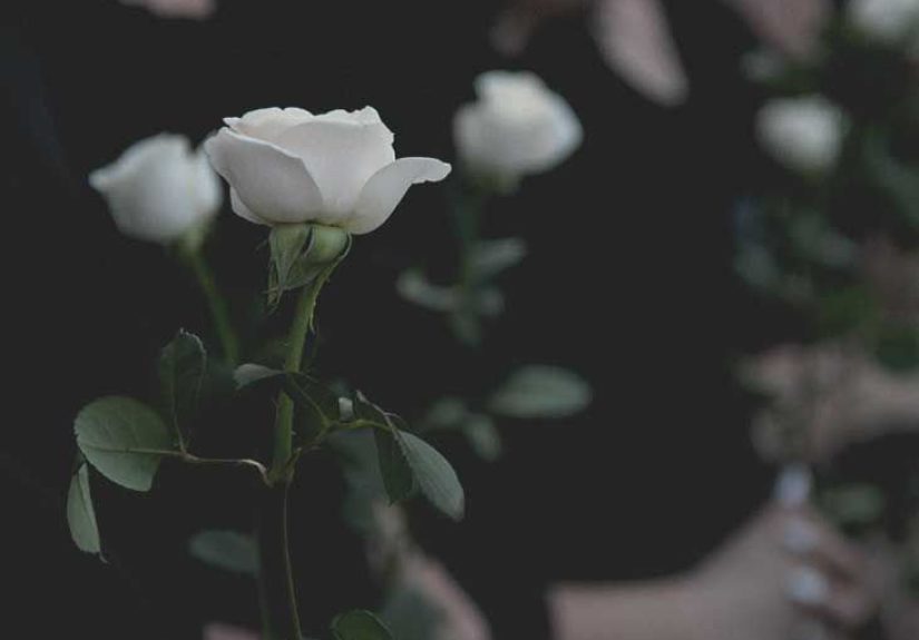 10 Leading Causes of Death in the United States