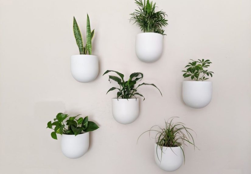 30 DIY Wall Planter Ideas to Show Off Your Green Thumb