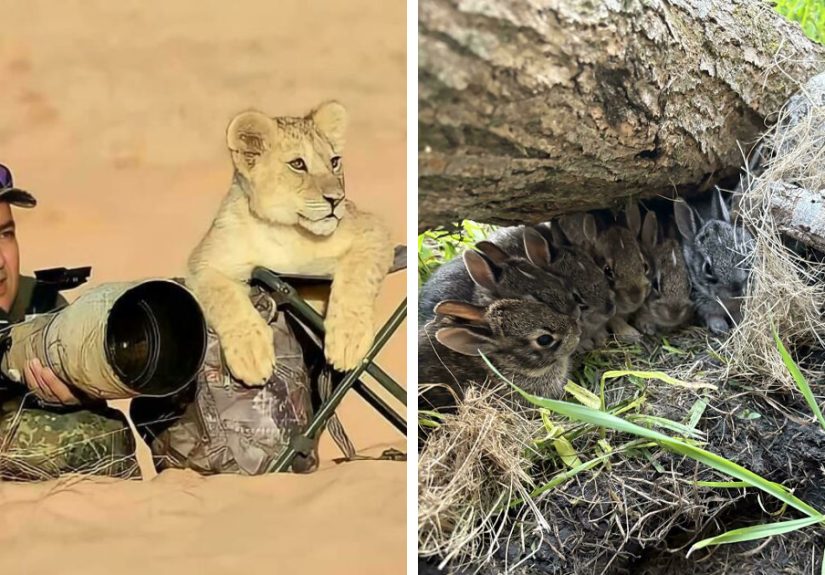 65 Wholesome Photos That Are “Eye Bleach” To Cleanse Your Eyes From The Horrors Of The World